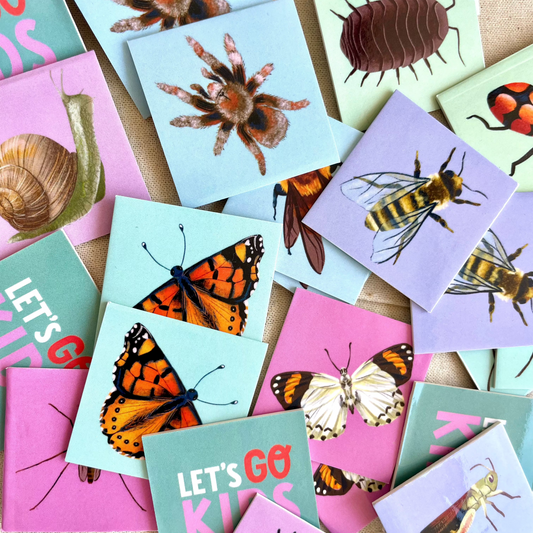 Memorice Invertebrados