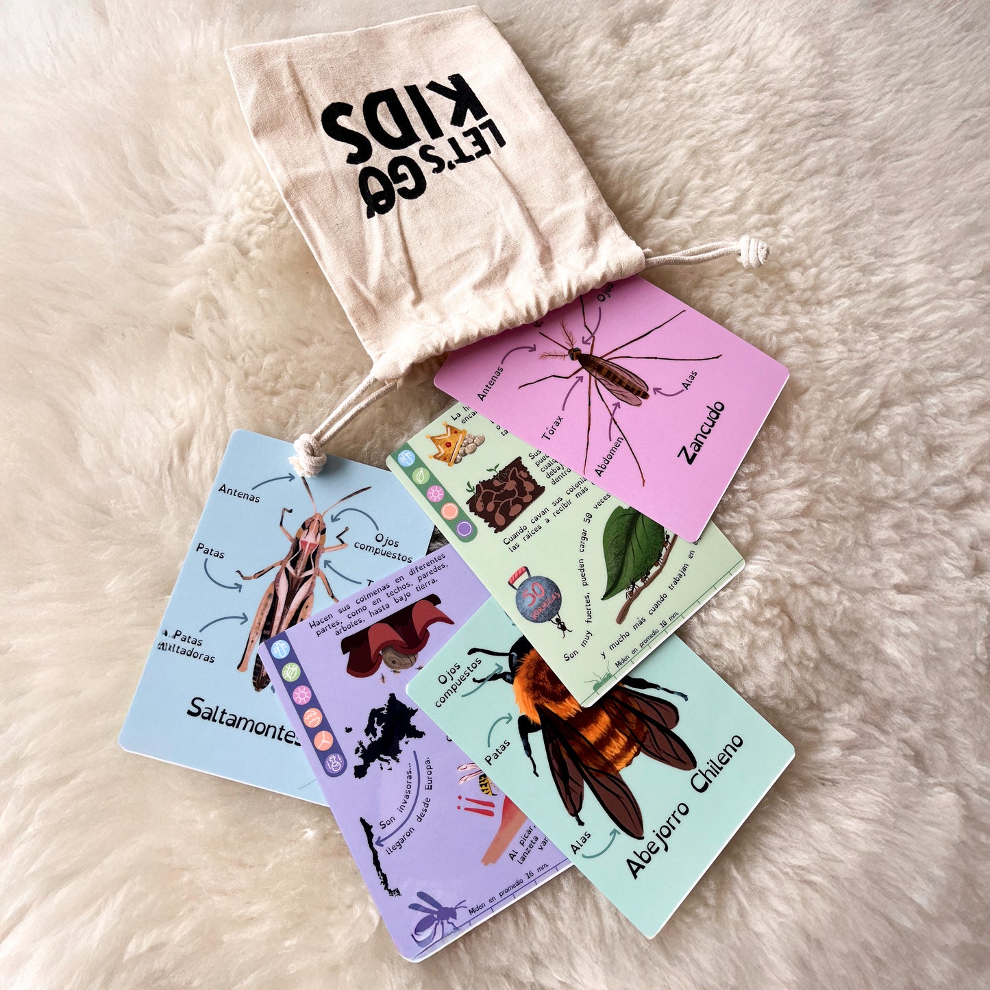 Tarjetas invertebrados 2