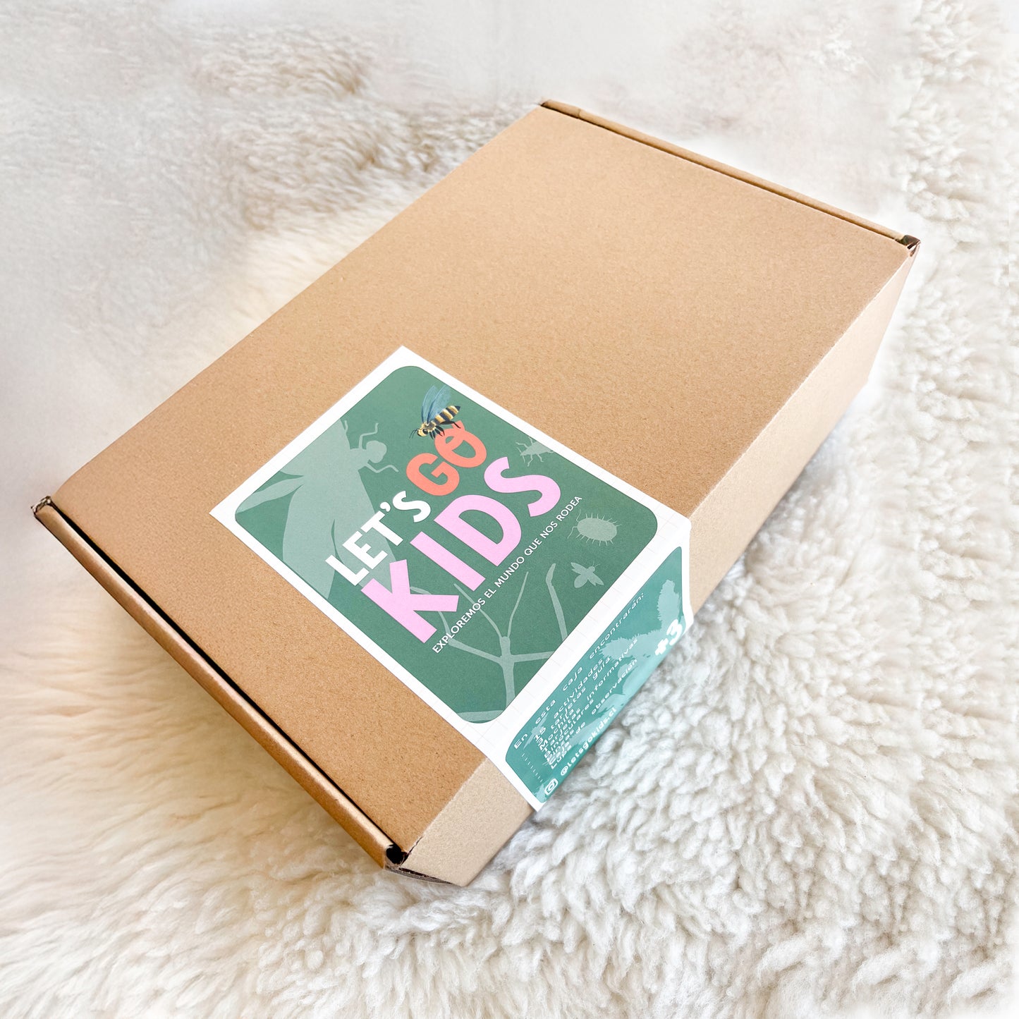 Caja de Invertebrados