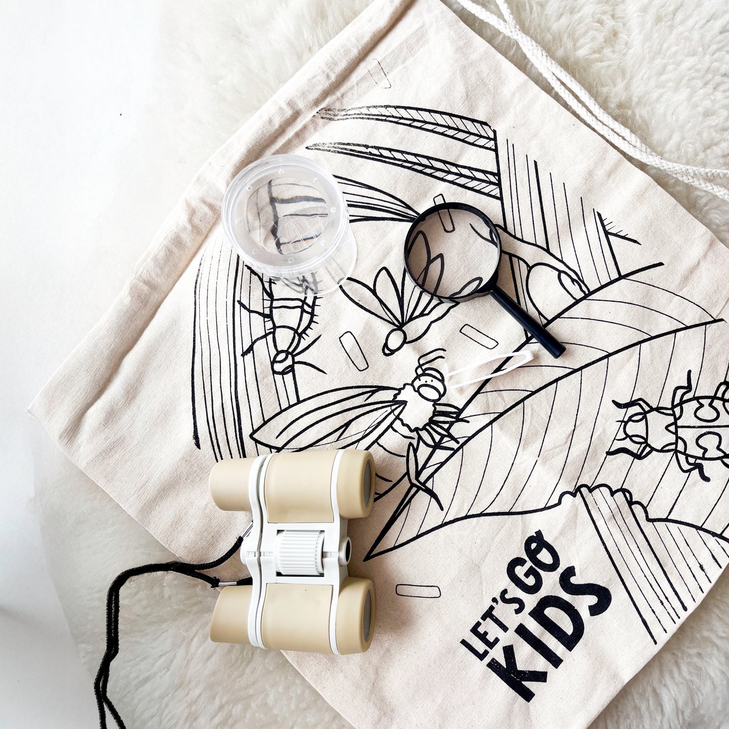 Caja de Invertebrados